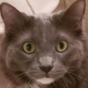 Meet your Posher, Alexander